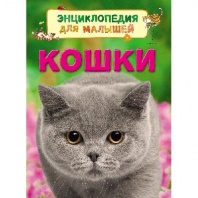 Книга. Энциклопедия для малышей Кошки от интернет-магазина Континент игрушек