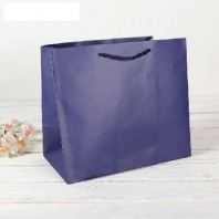 Пакет подарочный, фиолетовый, 27 х 18 х 30,5 см от интернет-магазина Континент игрушек