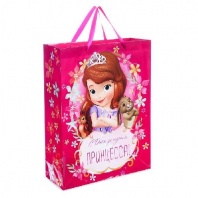 Пакет С ДР принцесса София Прекрасная от интернет-магазина Континент игрушек