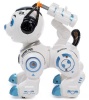 Робот-собака "Рокки", стреляет, свет, звук  4388179 от интернет-магазина Континент игрушек