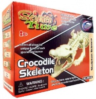 Наглядное пособие. Скелет крокодила от интернет-магазина Континент игрушек
