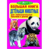 Книга Детёныши животных от интернет-магазина Континент игрушек