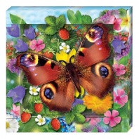 "Радужная бабочка" Набор для изготовления картины от интернет-магазина Континент игрушек