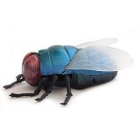 Интерактивные насекомые и пресмыкающиеся. Муха на радиоуправлении от интернет-магазина Континент игрушек