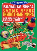 Книга Самые яркие животные Мира от интернет-магазина Континент игрушек