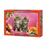 Пазл Castorland 1000 деталей, Котята на стуле от интернет-магазина Континент игрушек
