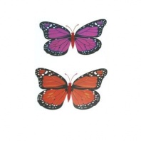 Бабочка магнит РИК0101