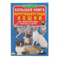 Книга Короткошерстные кошки от интернет-магазина Континент игрушек