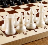 Шахматы (доска дерево 43х43 см, фигуры пластик, король h=9.7 см, пешка h=4.2 см)   4529150 от интернет-магазина Континент игрушек