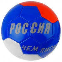 Мяч футбольный «Россия Чемпион!», размер 5