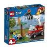Конструктор LEGO City Fire Пожар на пикнике от интернет-магазина Континент игрушек